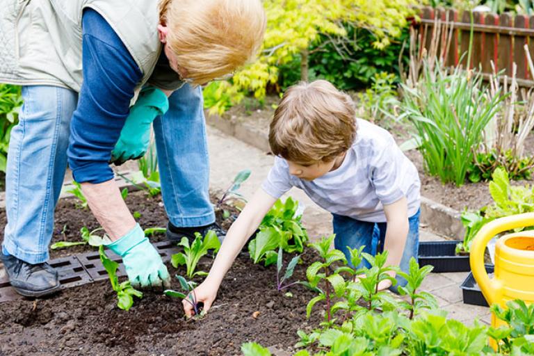 An older woman and a child planting in an allotment garden