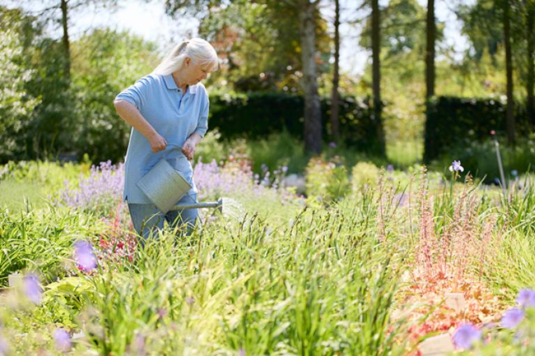 a senior woman working in plant nursery